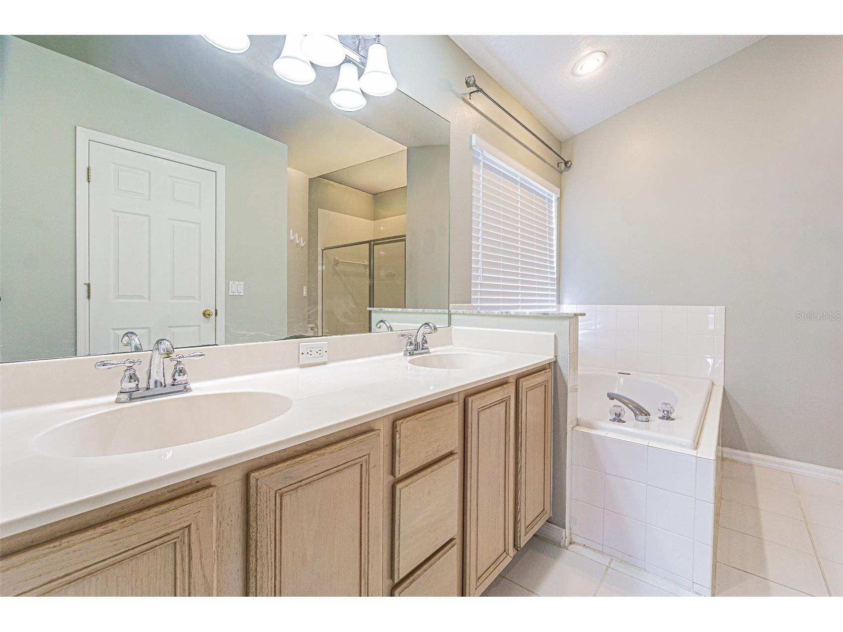 1550 Maximilian Drive Wesley Chapel FL 33543 TB8517355 image21