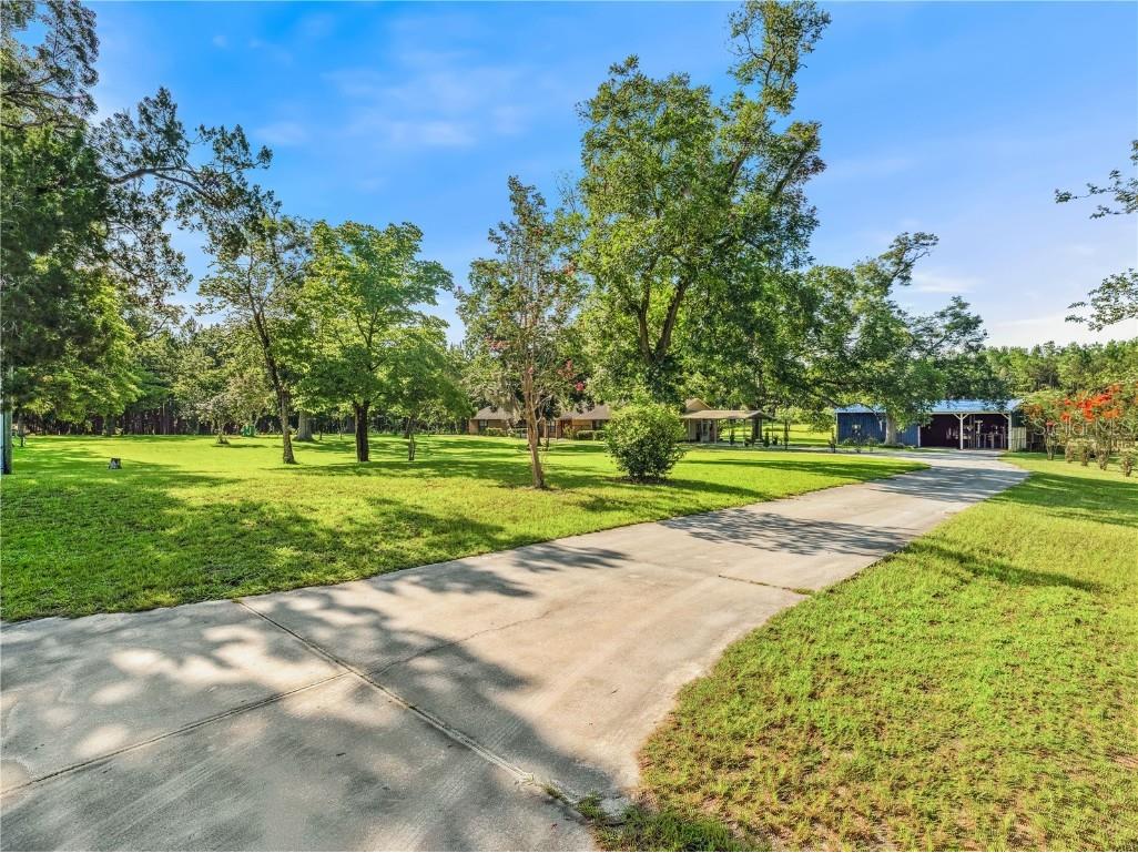 1550 NW 167 Place Trenton FL 32693 GC532281 image5