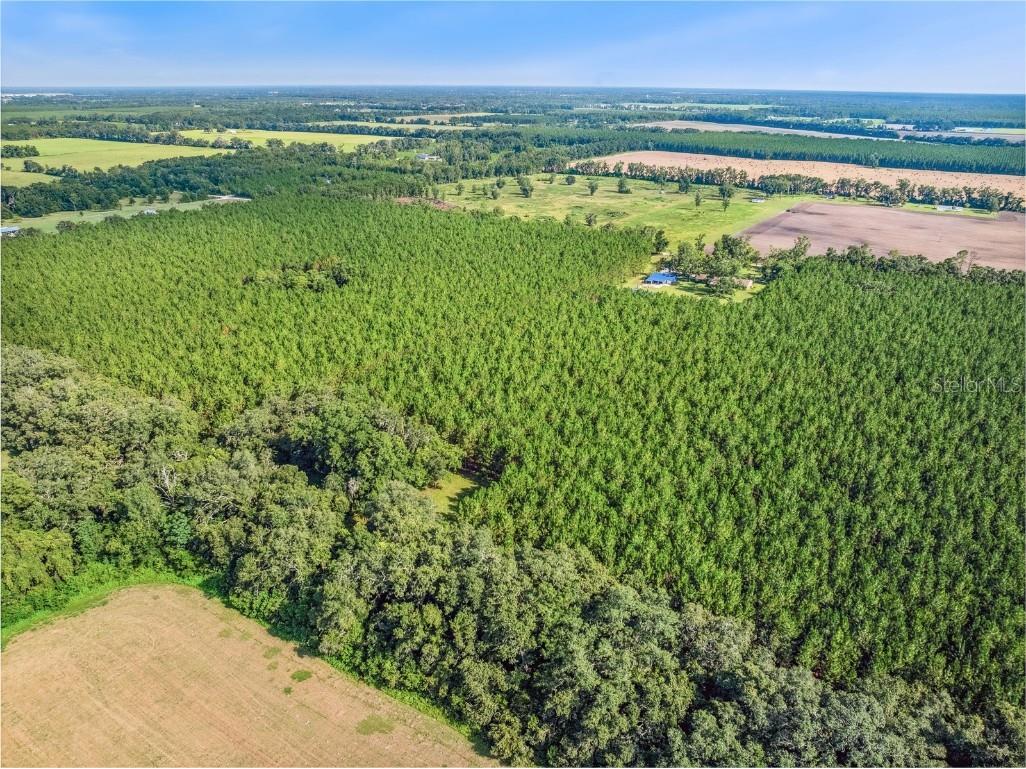 1550 NW 167 Place Trenton FL 32693 GC532281 image71