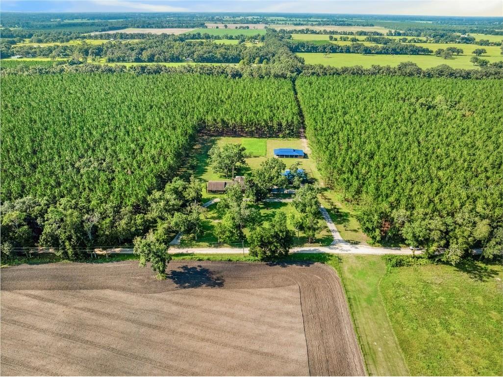 1550 NW 167 Place Trenton FL 32693 GC532281 image72