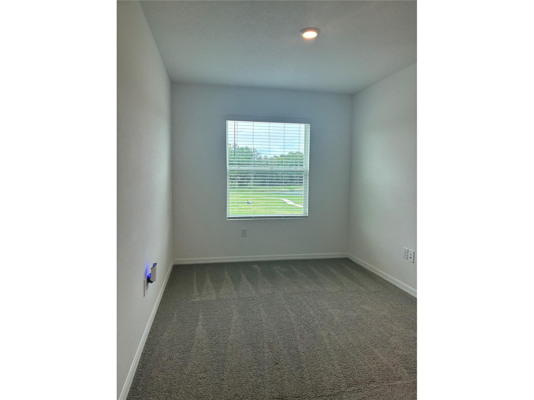 1550 Ranchette Rd Wesley Chapel FL 33543 TB8516492 image11