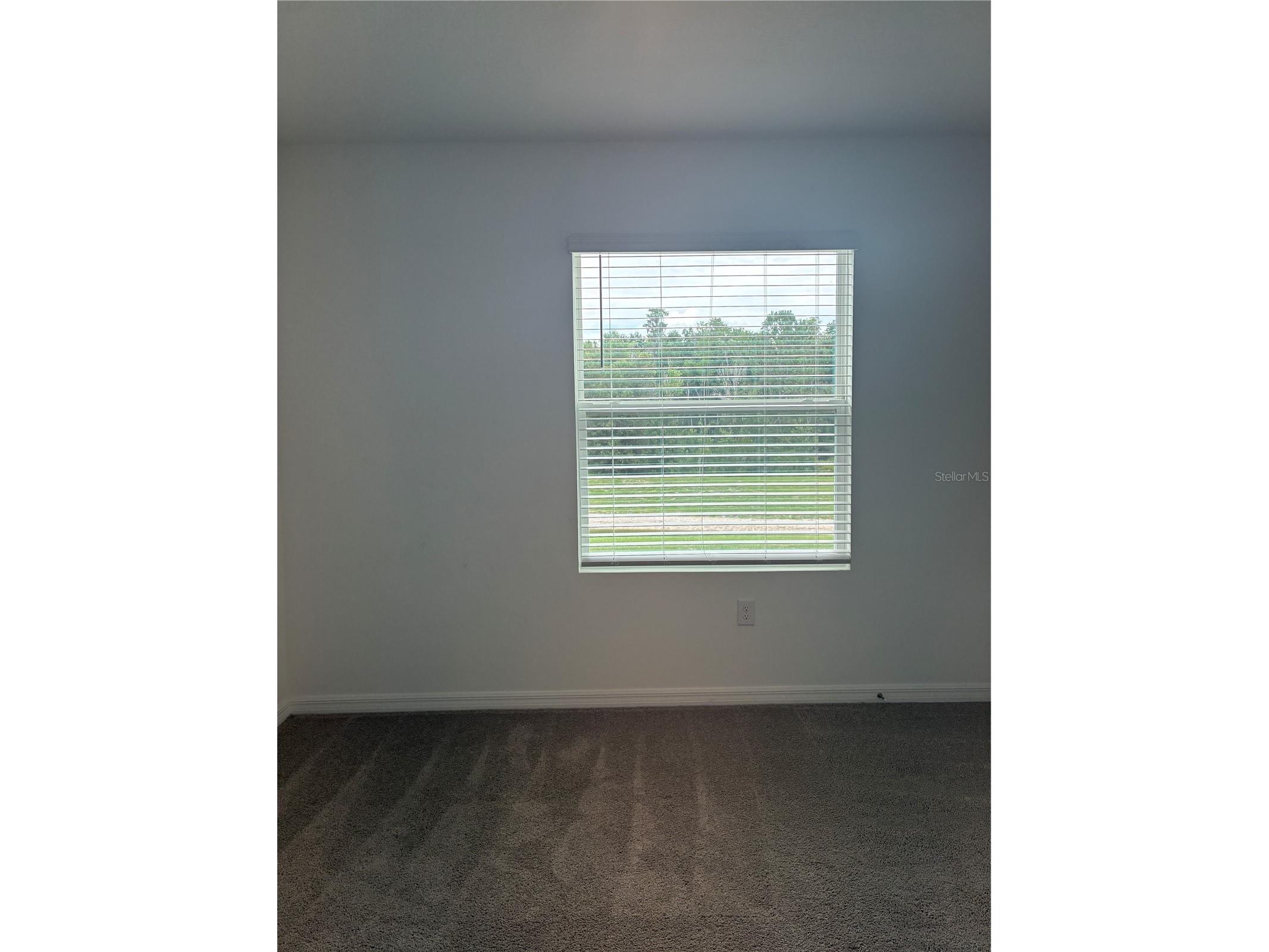 1550 Ranchette Rd Wesley Chapel FL 33543 TB8516492 image12