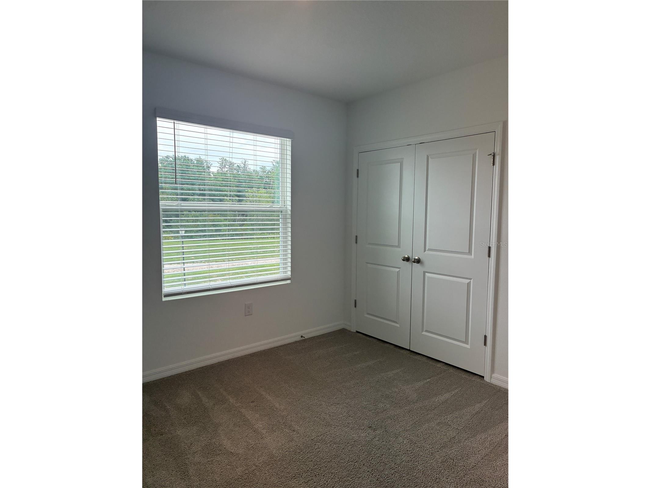 1550 Ranchette Rd Wesley Chapel FL 33543 TB8516492 image13
