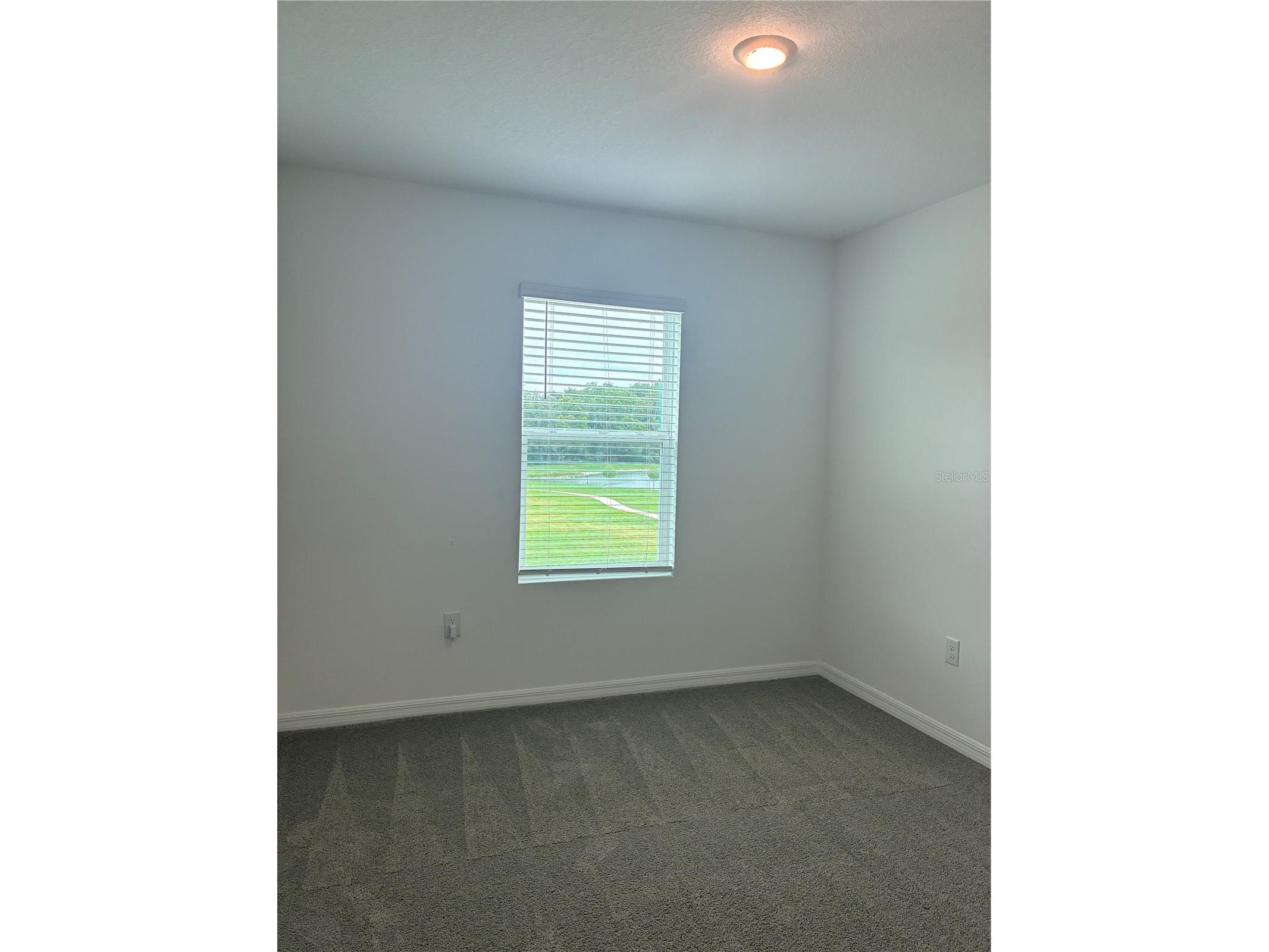 1550 Ranchette Rd Wesley Chapel FL 33543 TB8516492 image16