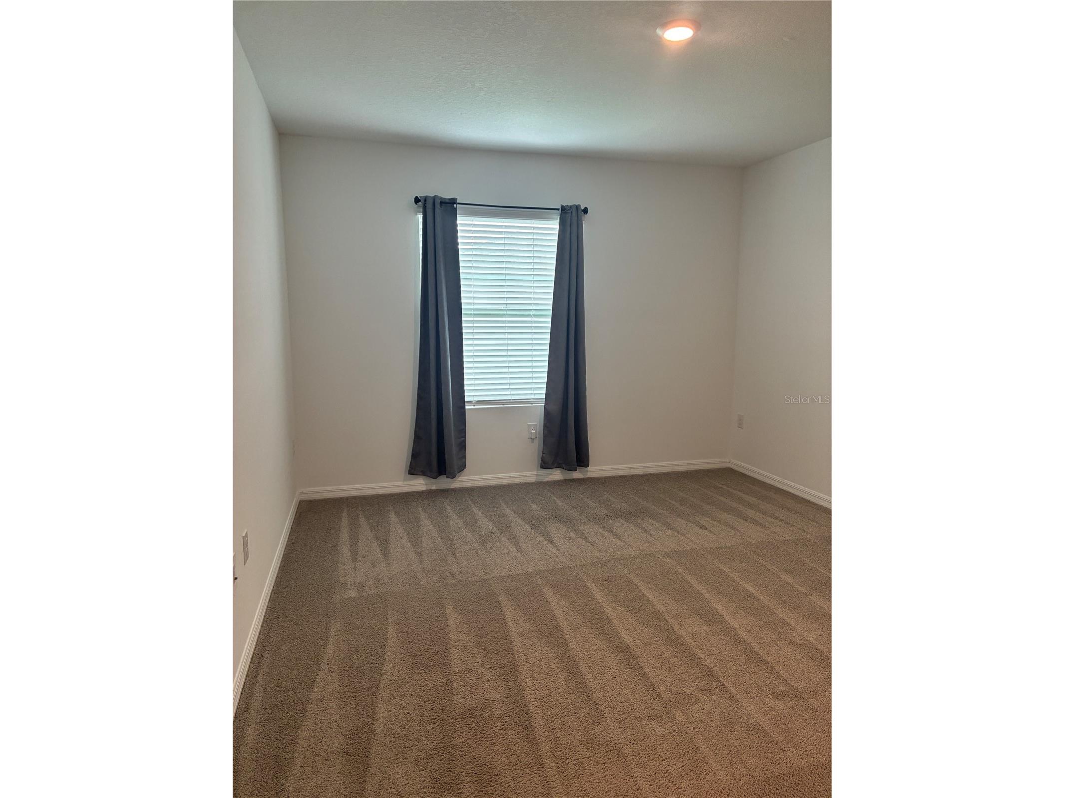 1550 Ranchette Rd Wesley Chapel FL 33543 TB8516492 image18