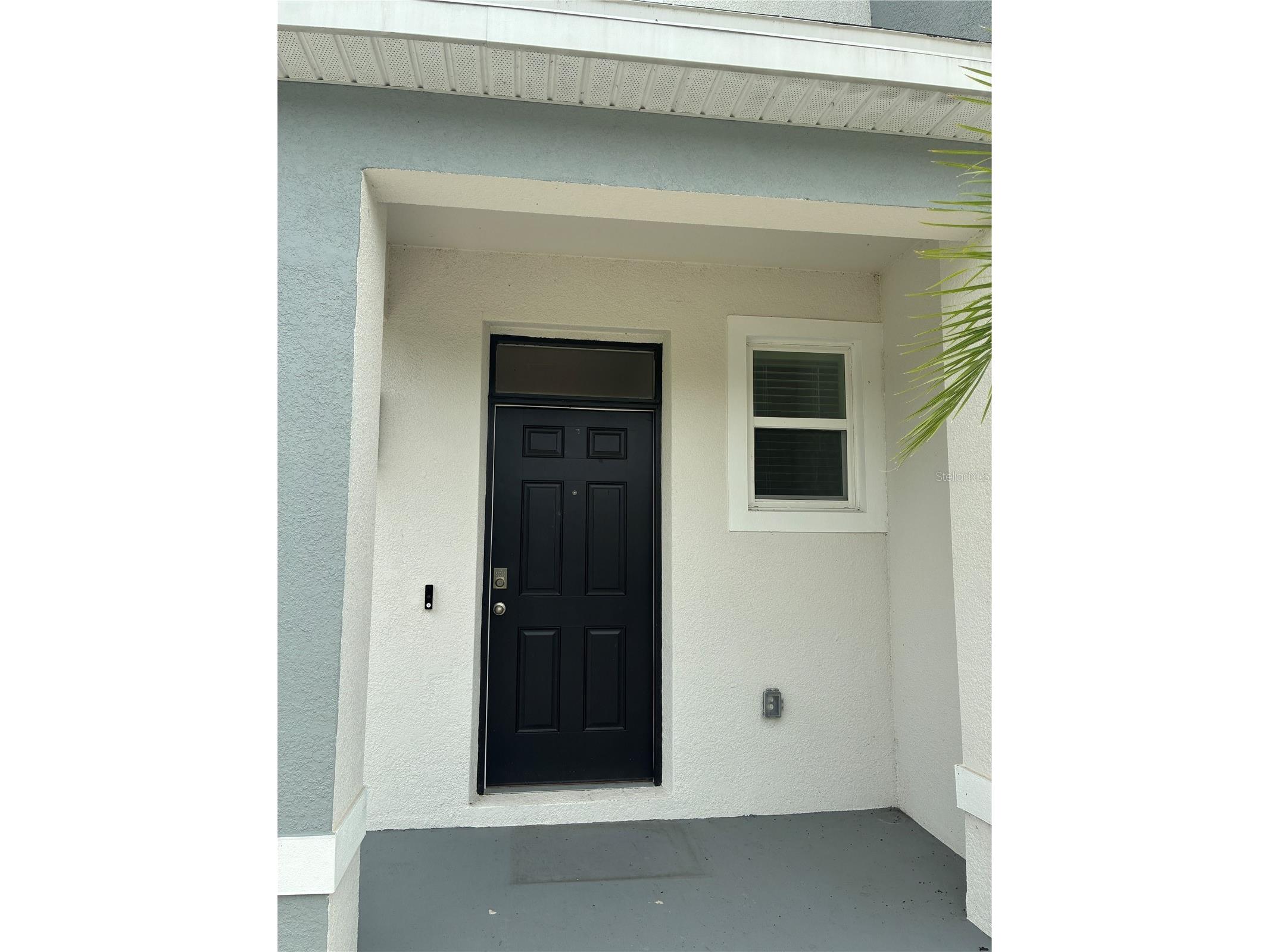 1550 Ranchette Rd Wesley Chapel FL 33543 TB8516492 image2