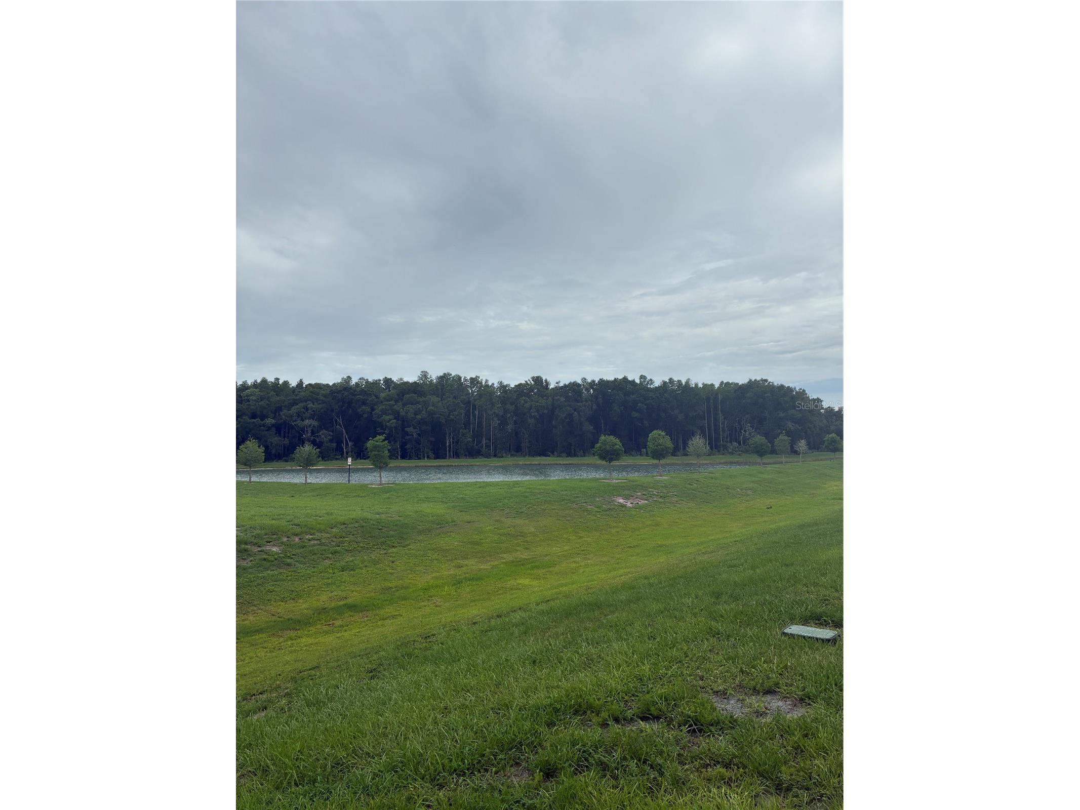 1550 Ranchette Rd Wesley Chapel FL 33543 TB8516492 image24