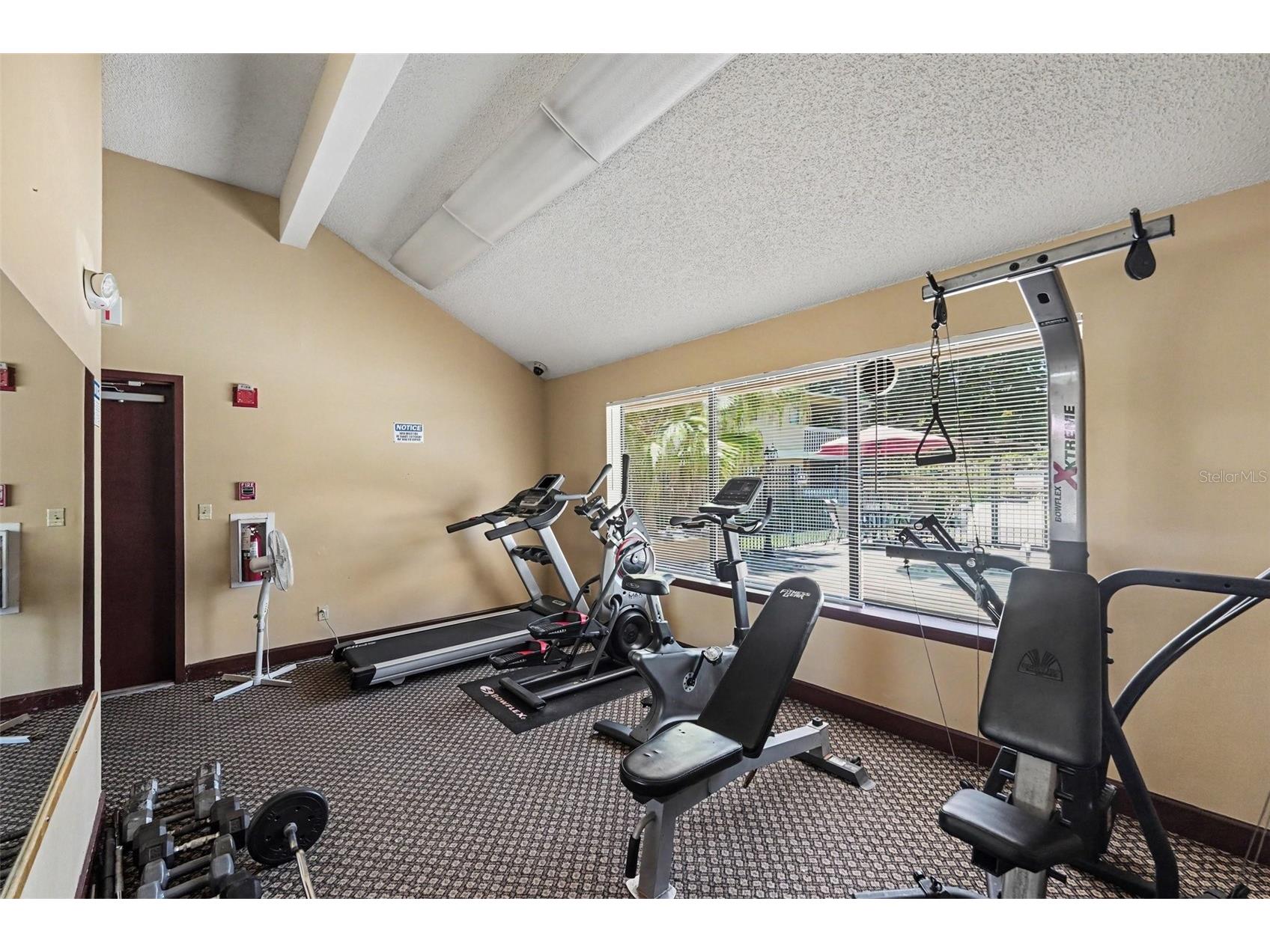 1550 S Belcher Road #115 Clearwater FL 33764 TB8516775 image25