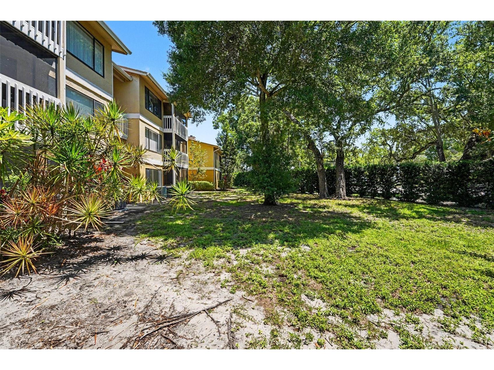 1550 S Belcher Road #115 Clearwater FL 33764 TB8516775 image31