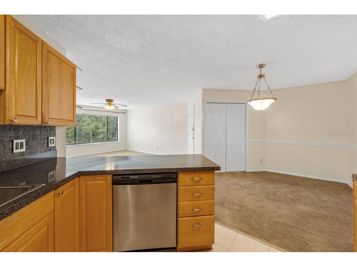 1550 S Belcher Road #223 Clearwater FL 33764 TB8422361 image13