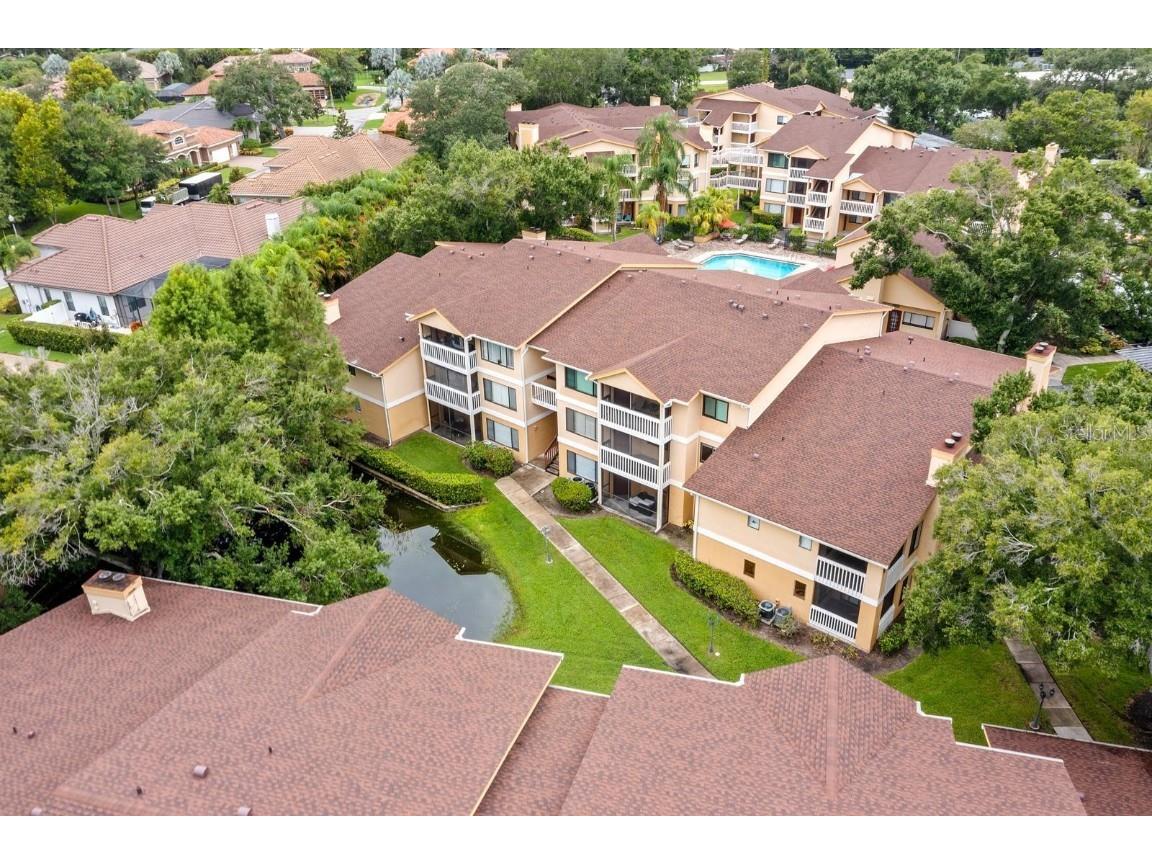 1550 S Belcher Road #223 Clearwater FL 33764 TB8422361 image35