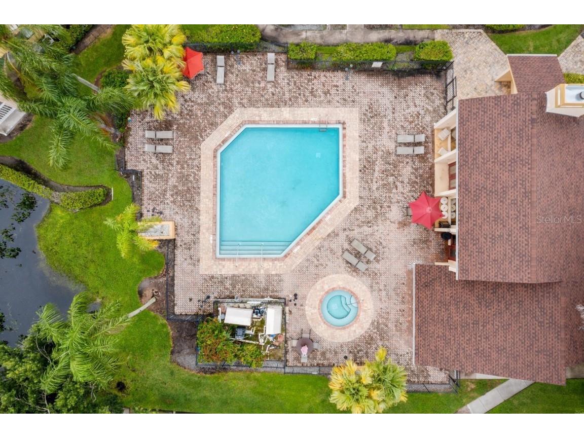 1550 S Belcher Road #223 Clearwater FL 33764 TB8422361 image36