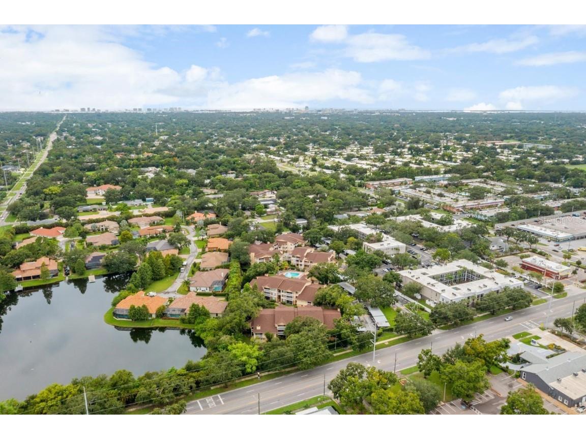 1550 S Belcher Road #223 Clearwater FL 33764 TB8422361 image37