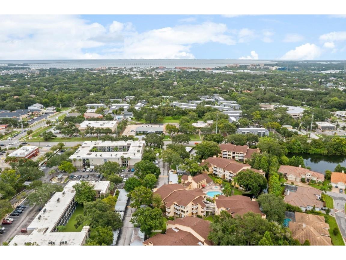 1550 S Belcher Road #223 Clearwater FL 33764 TB8422361 image38