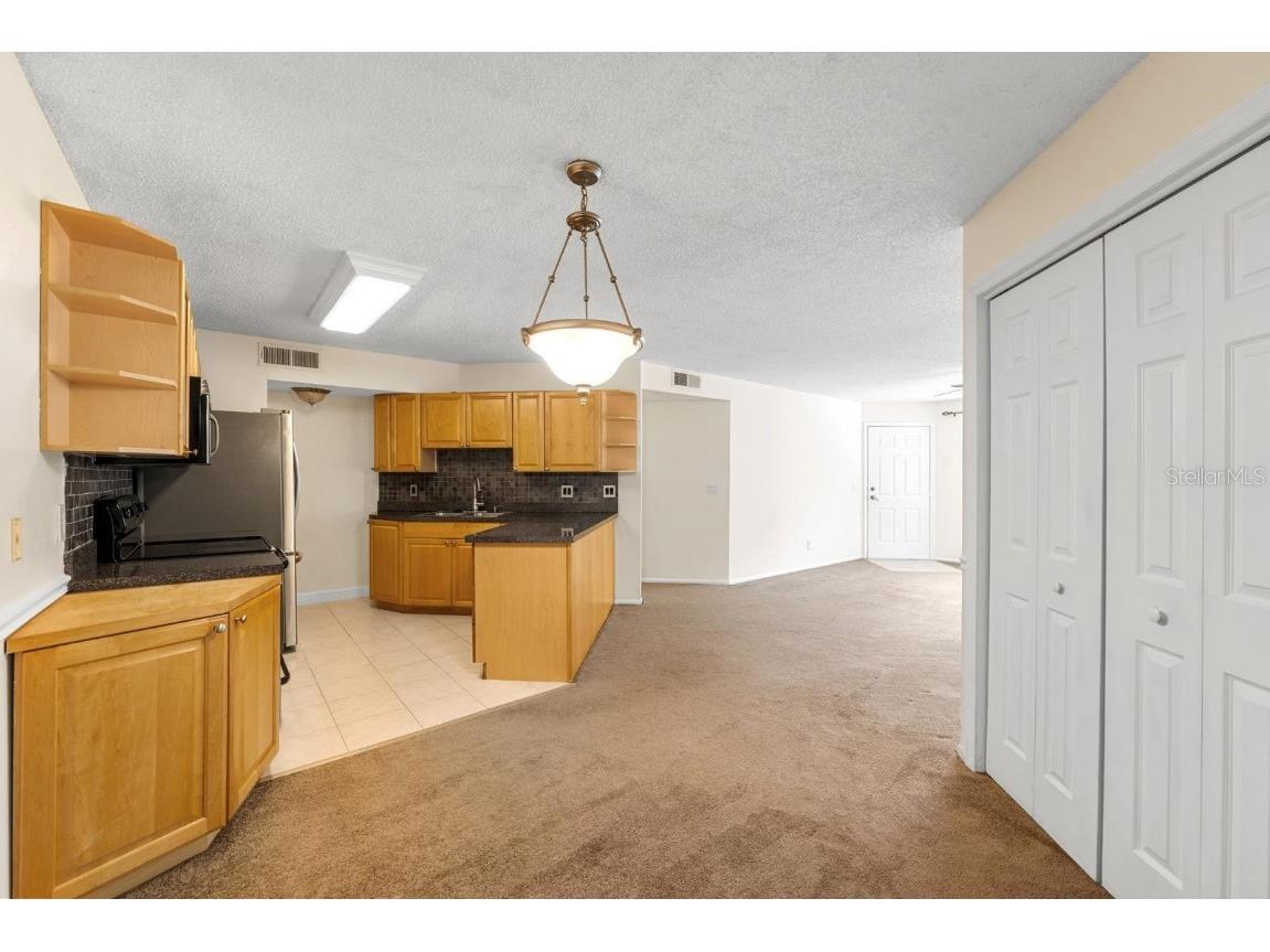 1550 S Belcher Road #223 Clearwater FL 33764 TB8422361 image9