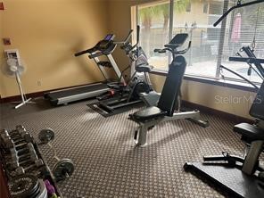 1550 S Belcher Road #324 Clearwater FL 33764 TB8525215 image24