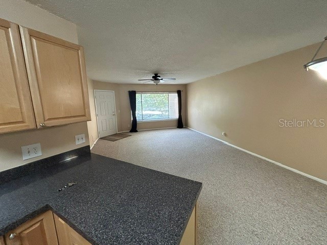 1550 S Belcher Road #324 Clearwater FL 33764 TB8525215 image4