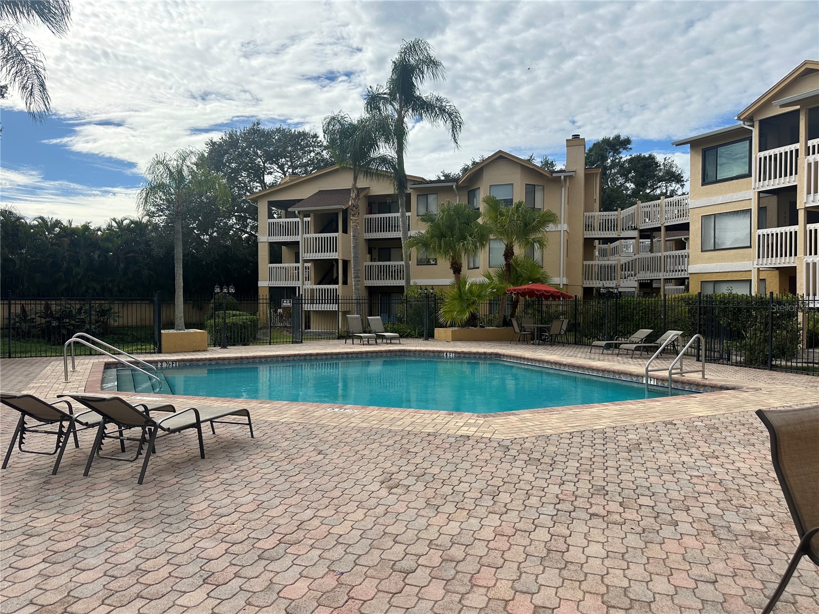 1550 S Belcher Road #412 Clearwater FL 33764 TB8454329 image36