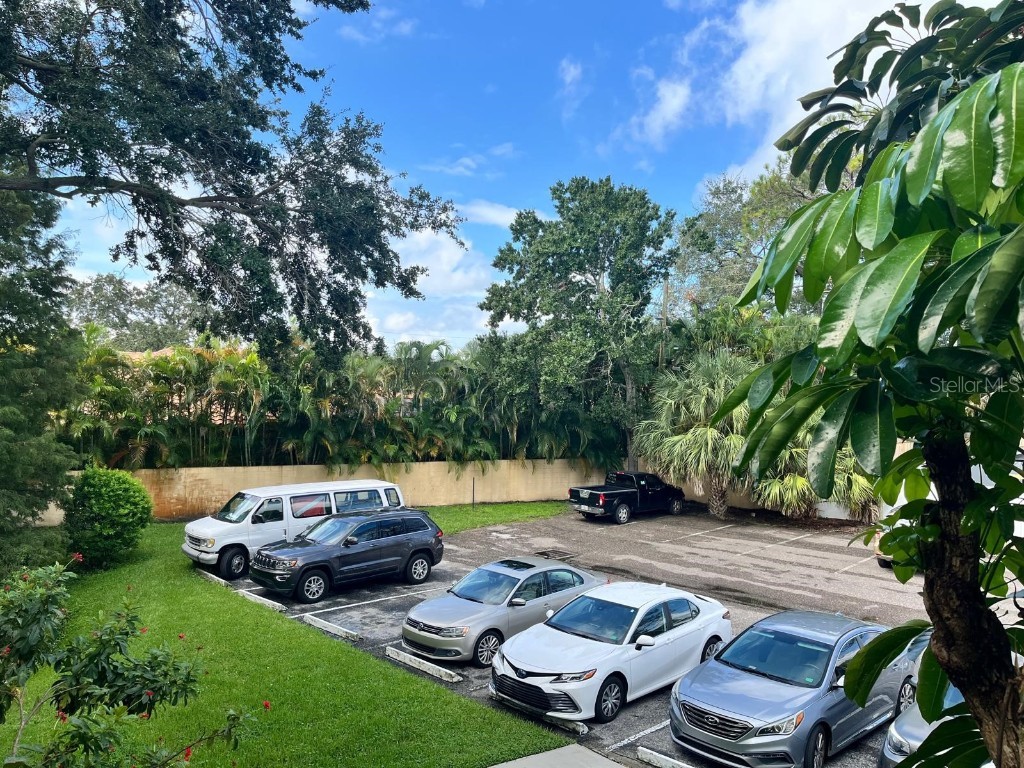 1550 S Belcher Road #524 Clearwater FL 33764 U8255718 image44