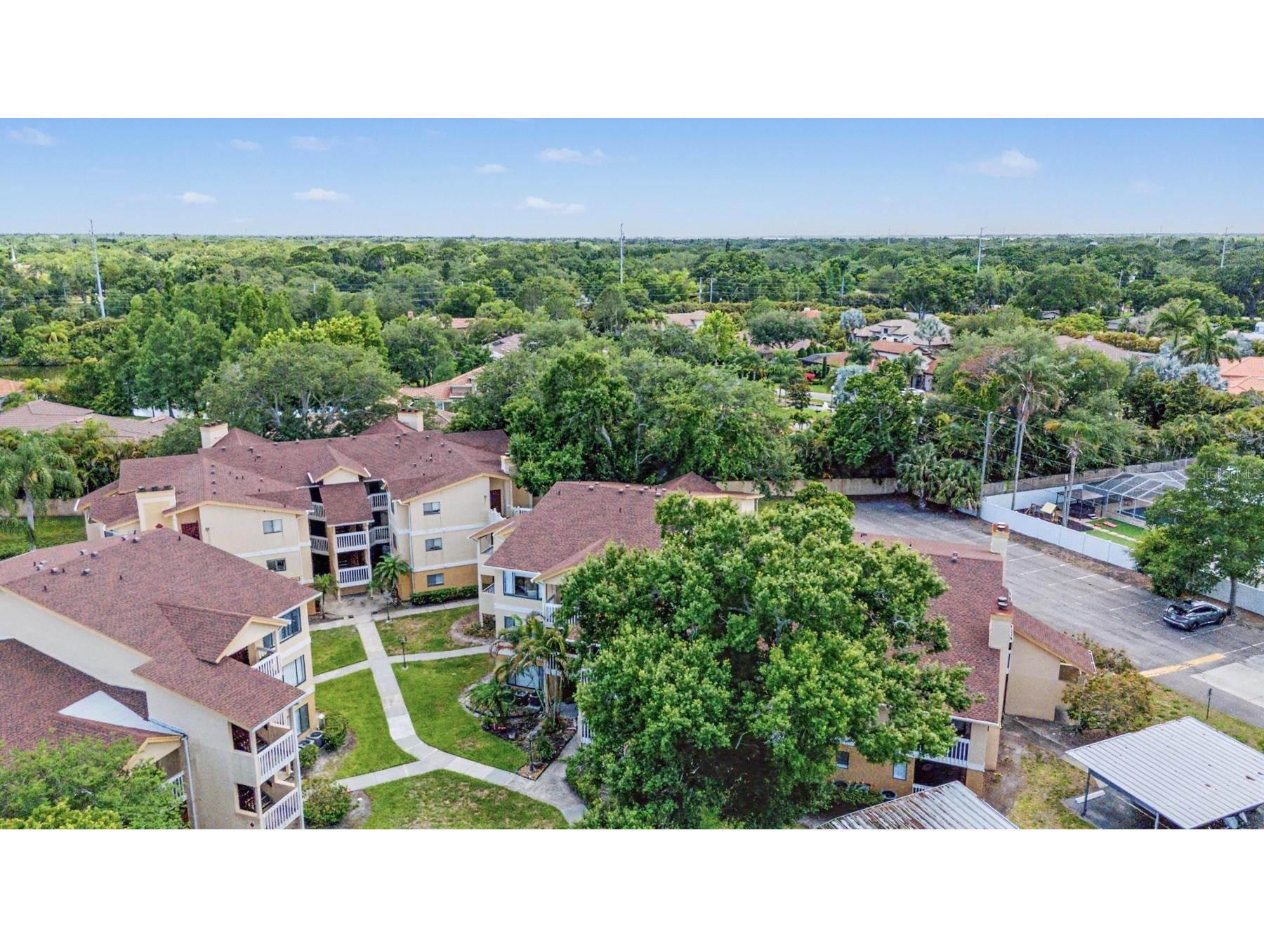 1550 S Belcher Road #525 Clearwater FL 33764 TB8510791 image23