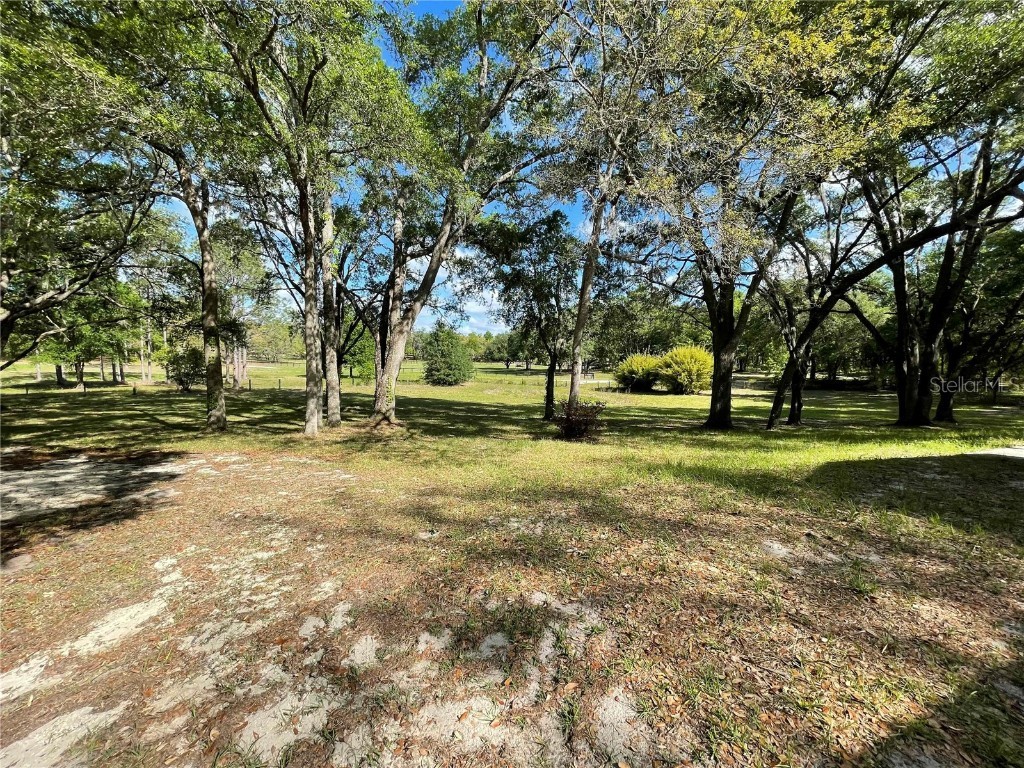 1550 SE 111th Court Morriston FL 32668 OM699248 image43