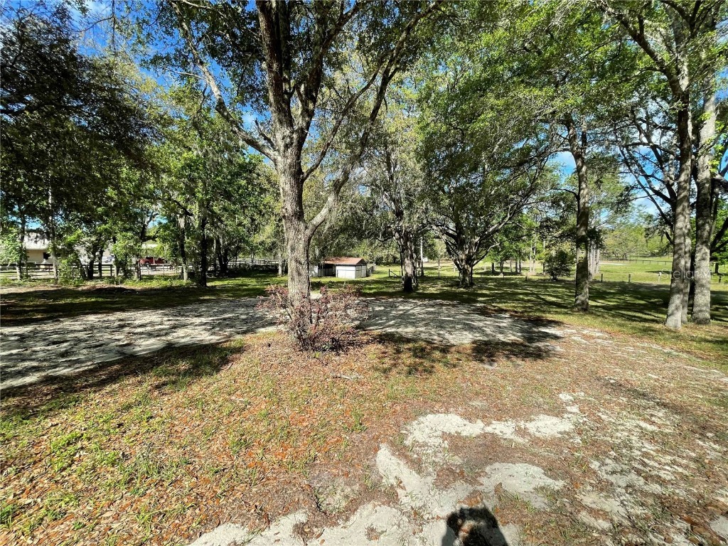 1550 SE 111th Court Morriston FL 32668 OM699248 image44