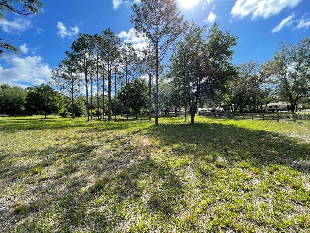 1550 SE 111th Court Morriston FL 32668 OM699248 image47