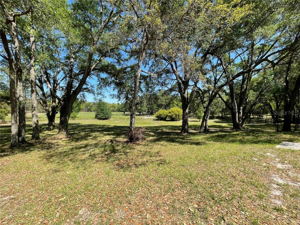 1550 SE 111th Court Morriston FL 32668 OM699248 image52