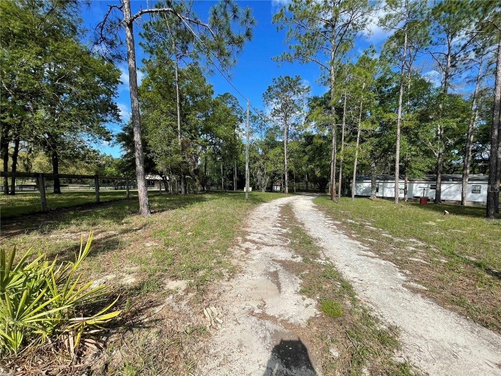 1550 SE 111th Court Morriston FL 32668 OM699248 image55