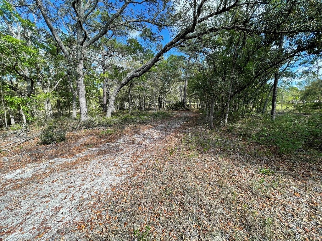 1550 SE 111th Court Morriston FL 32668 OM699248 image56