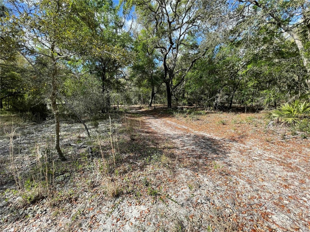 1550 SE 111th Court Morriston FL 32668 OM699248 image57