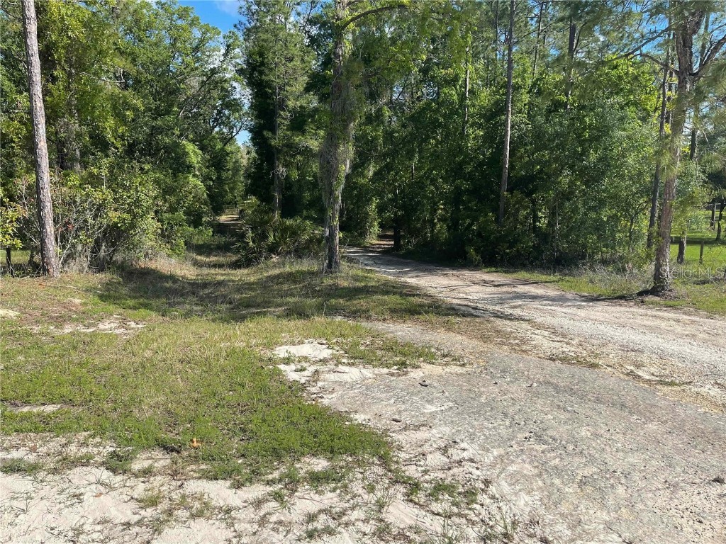 1550 SE 111th Court Morriston FL 32668 OM699248 image58