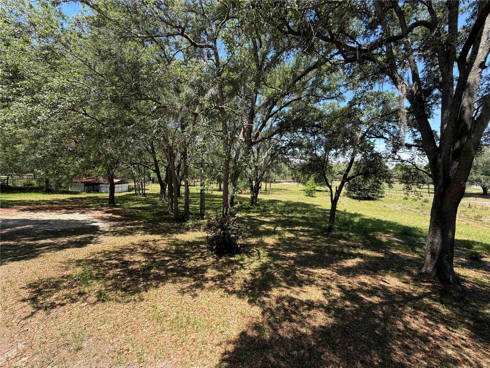1550 SE 111th Court Morriston FL 32668 OM699248 image61