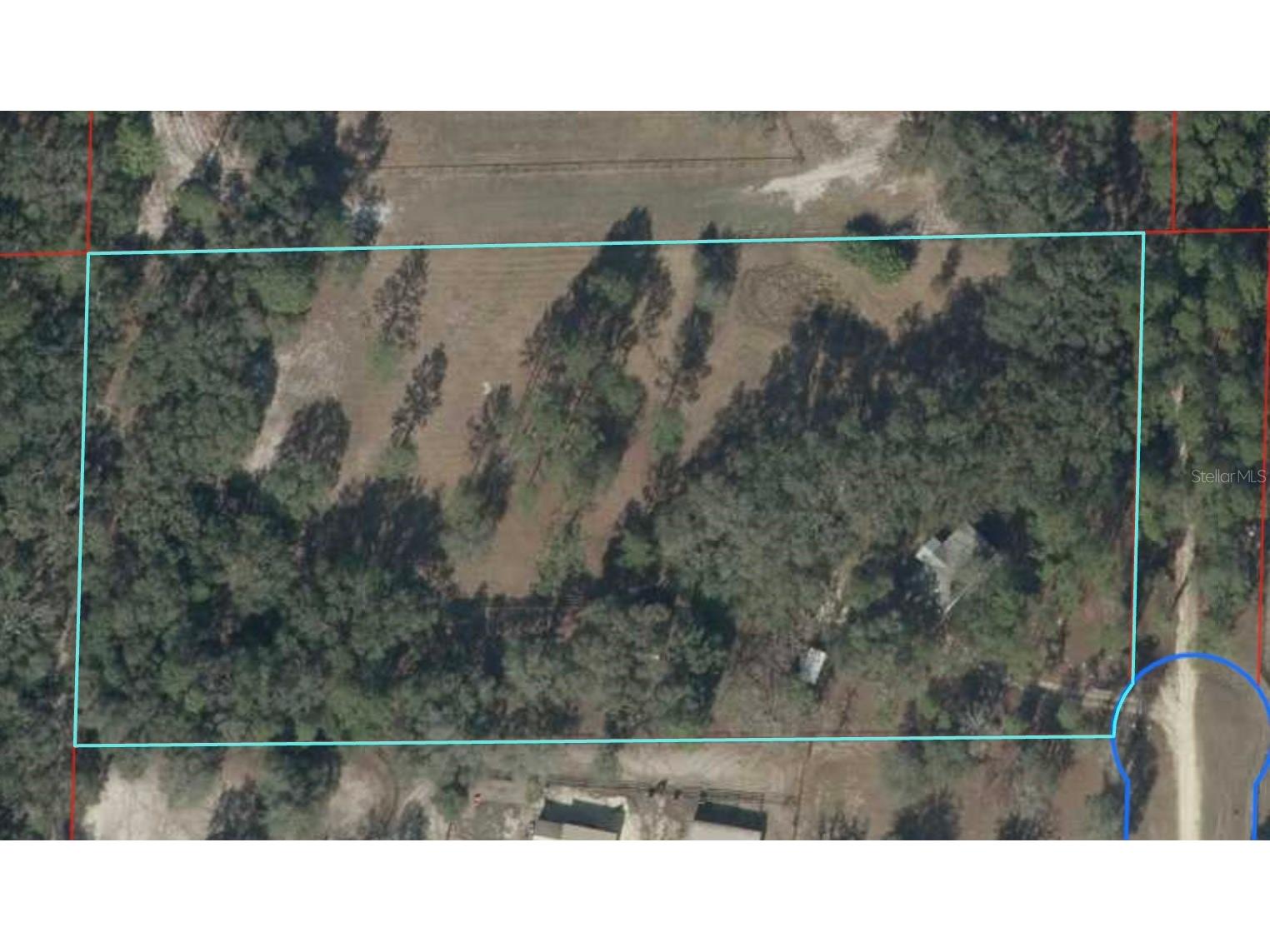 1550 SE 111th Court Morriston FL 32668 OM699248 image62