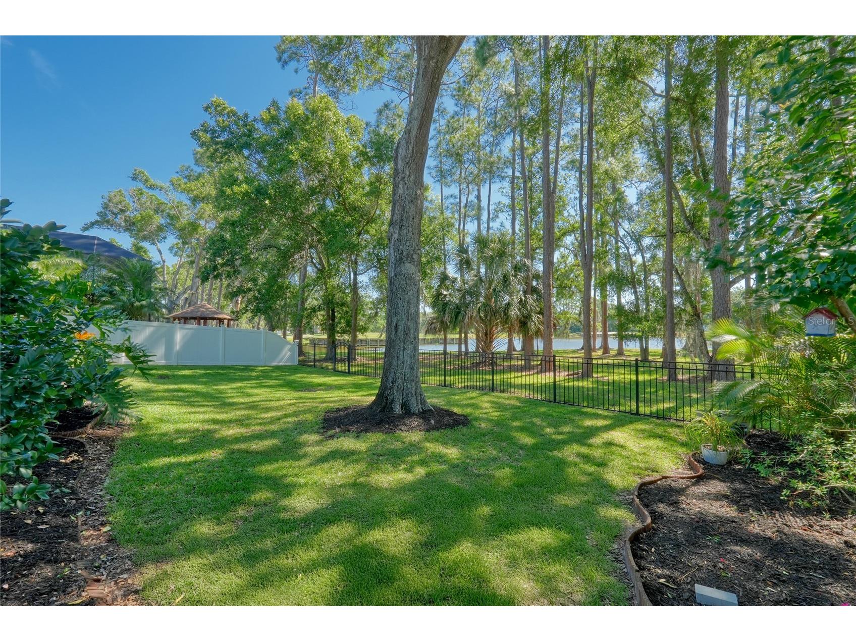 15501 Kingsmill Place Odessa FL 33556 TB8505489 image4