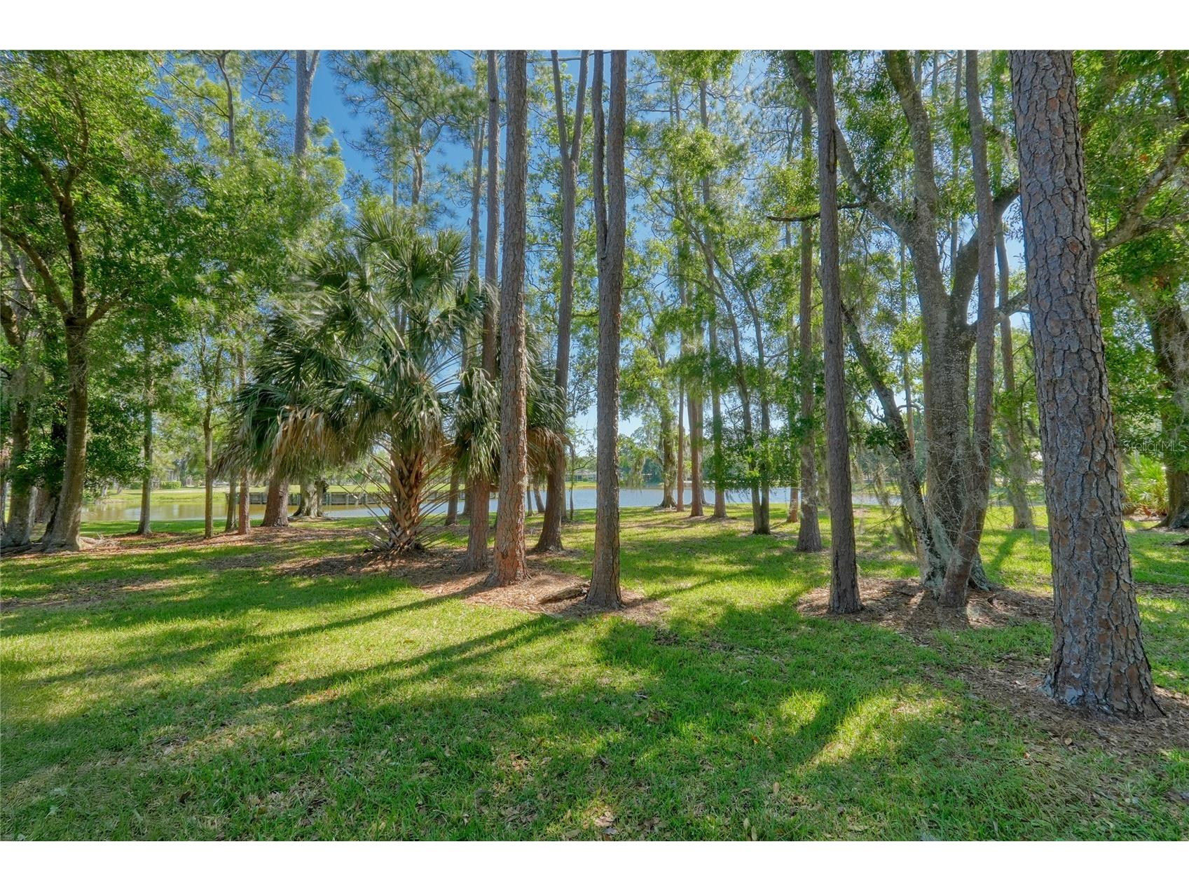 15501 Kingsmill Place Odessa FL 33556 TB8505489 image6