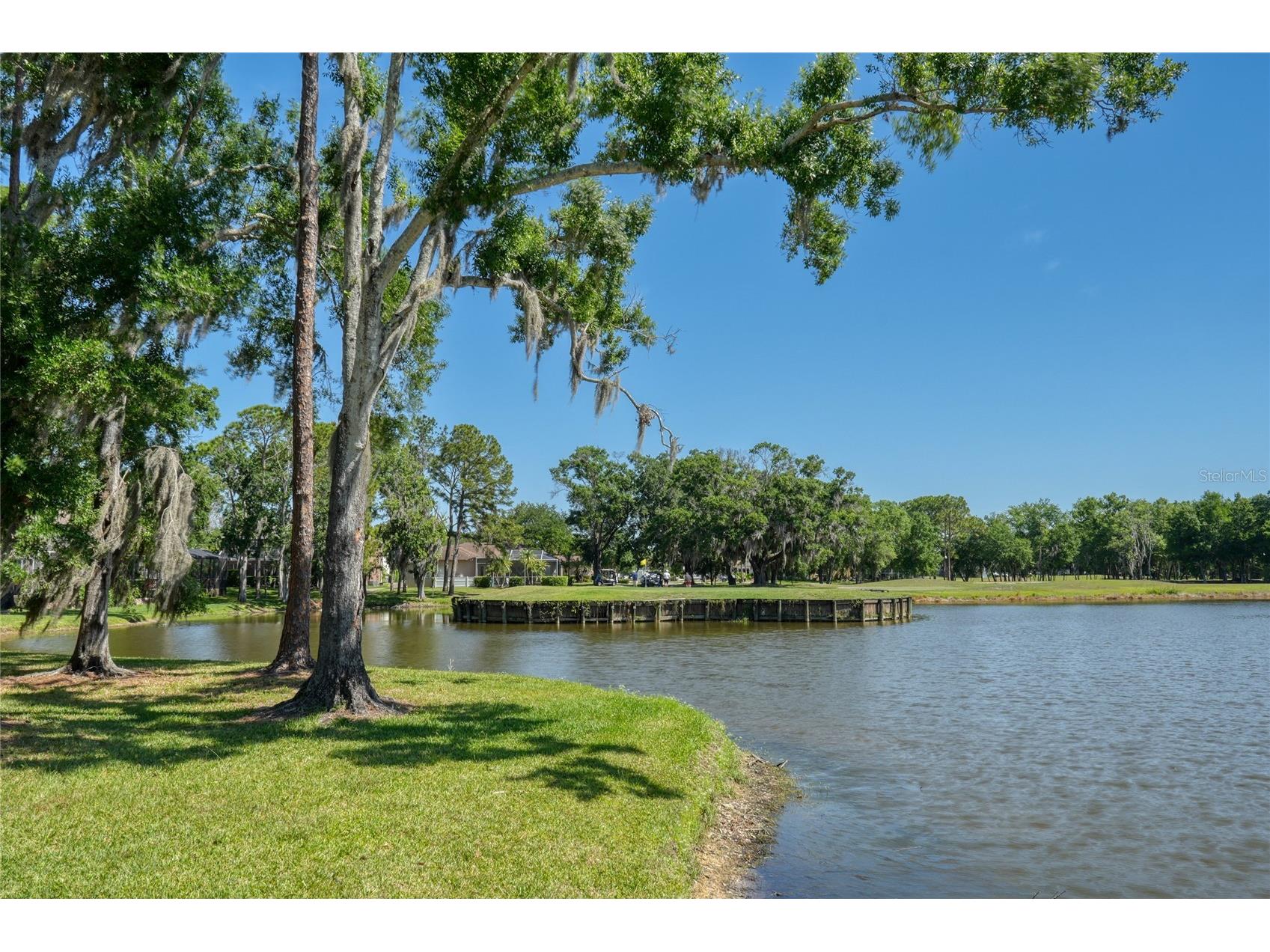15501 Kingsmill Place Odessa FL 33556 TB8505489 image7