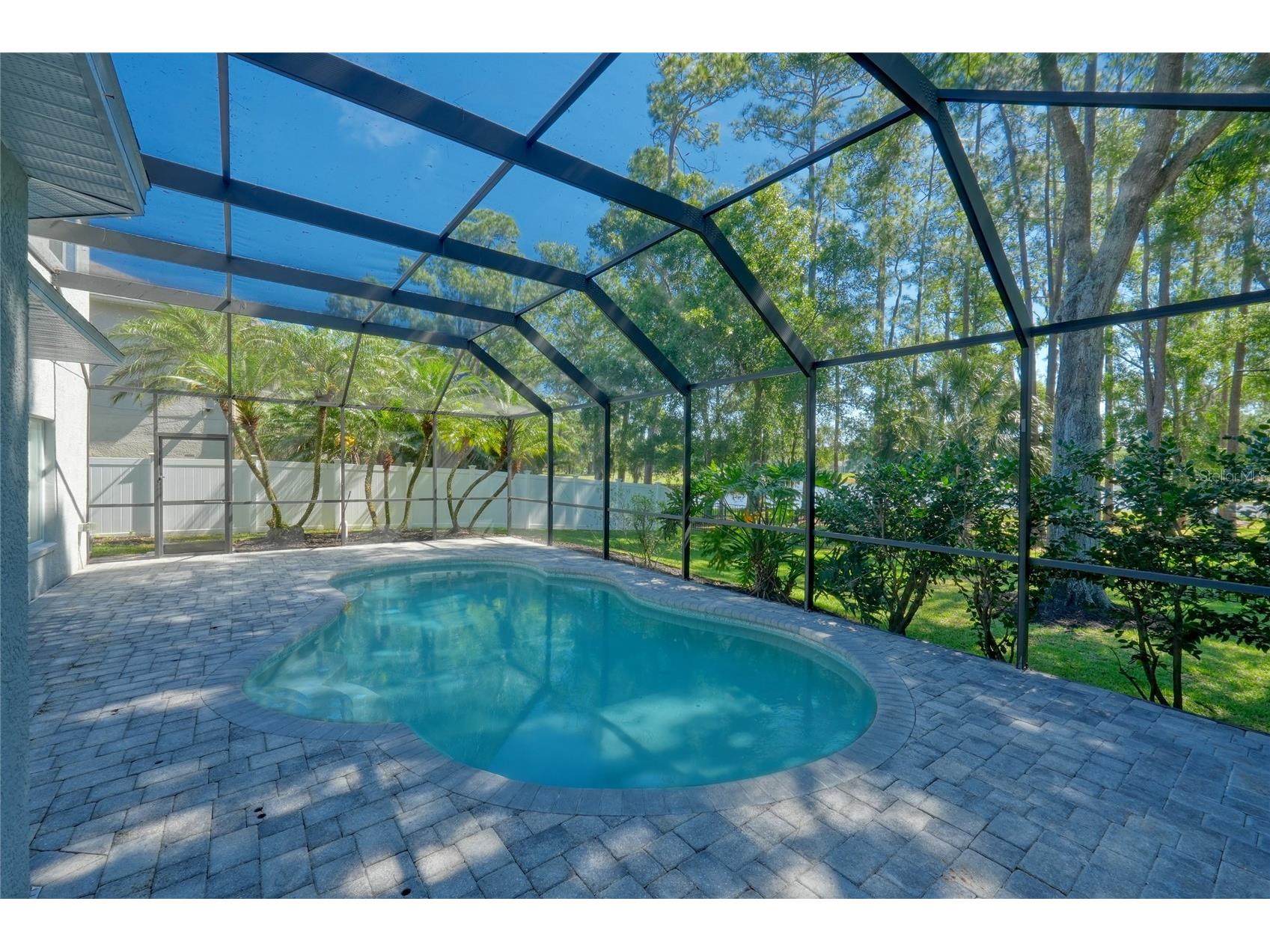 15501 Kingsmill Place Odessa FL 33556 TB8505489 image9