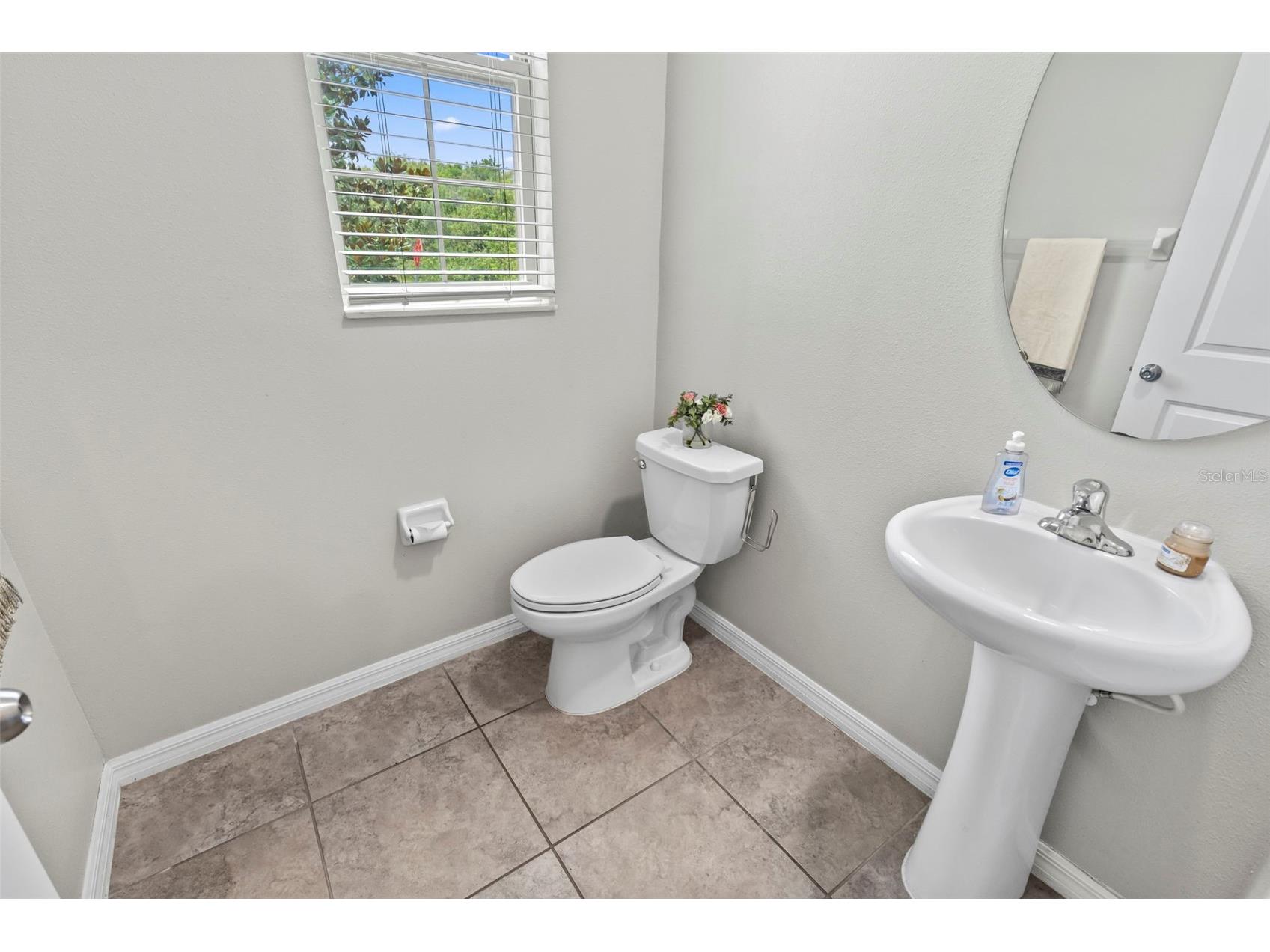 15504 Florence Hollow Place Ruskin FL 33573 TB8519011 image6
