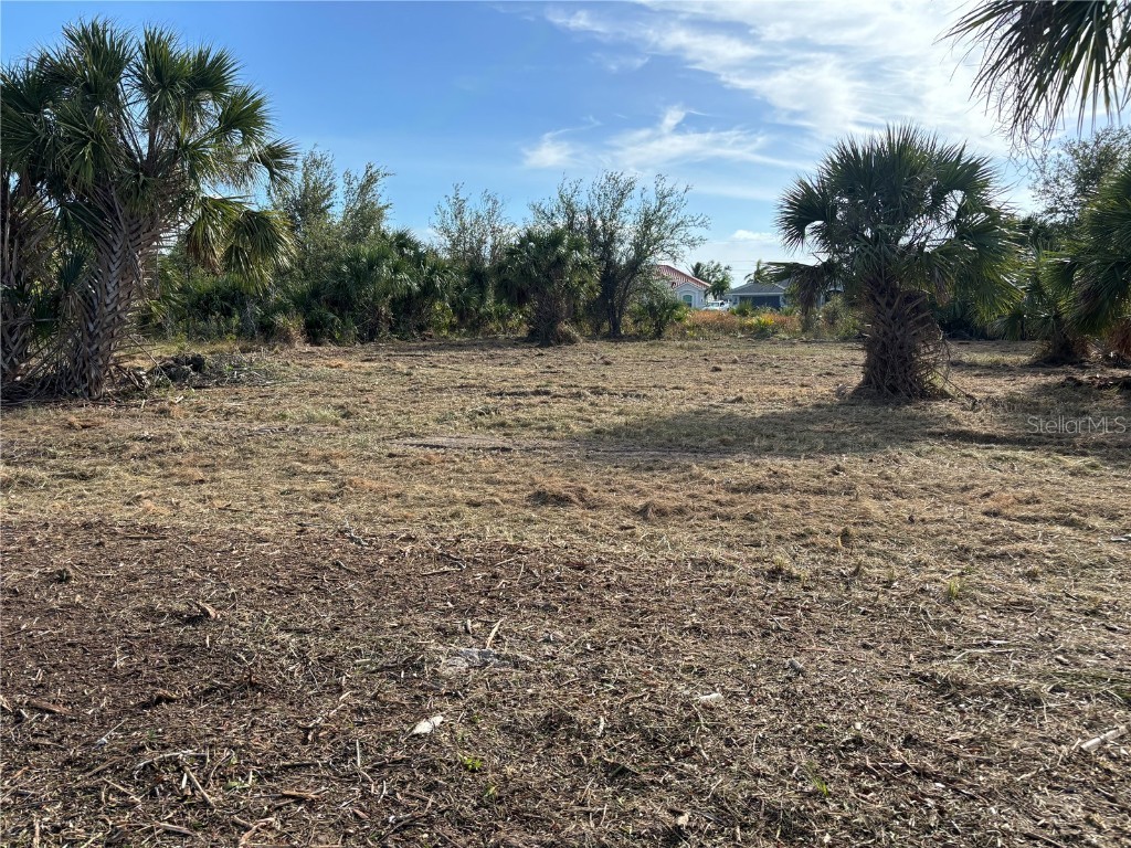 15505 Margo Circle Port Charlotte FL 33981 D6137802 image7