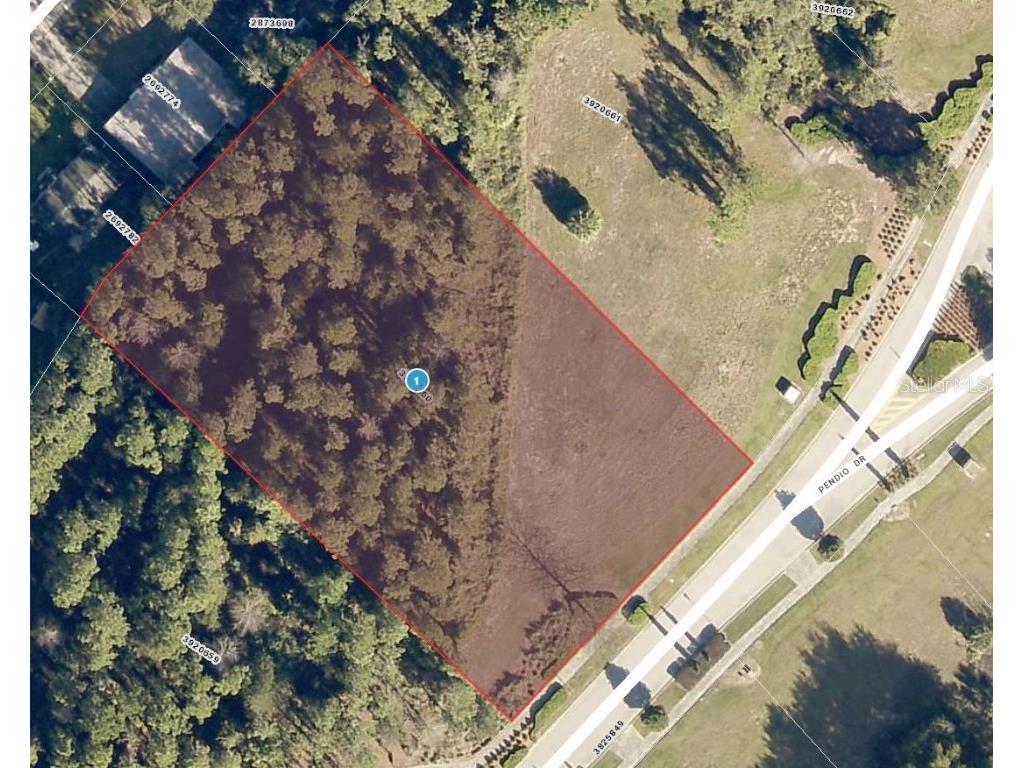 15505 Pendio Drive Montverde FL 34756 J966560 image1