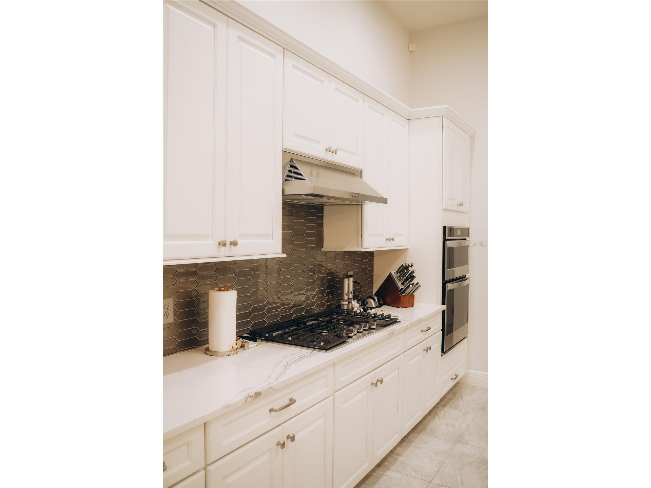 15505 Shorebird Lane Winter Garden FL 34787 O6410839 image20