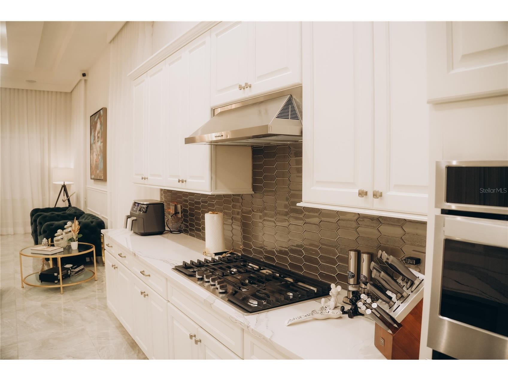15505 Shorebird Lane Winter Garden FL 34787 O6410839 image63