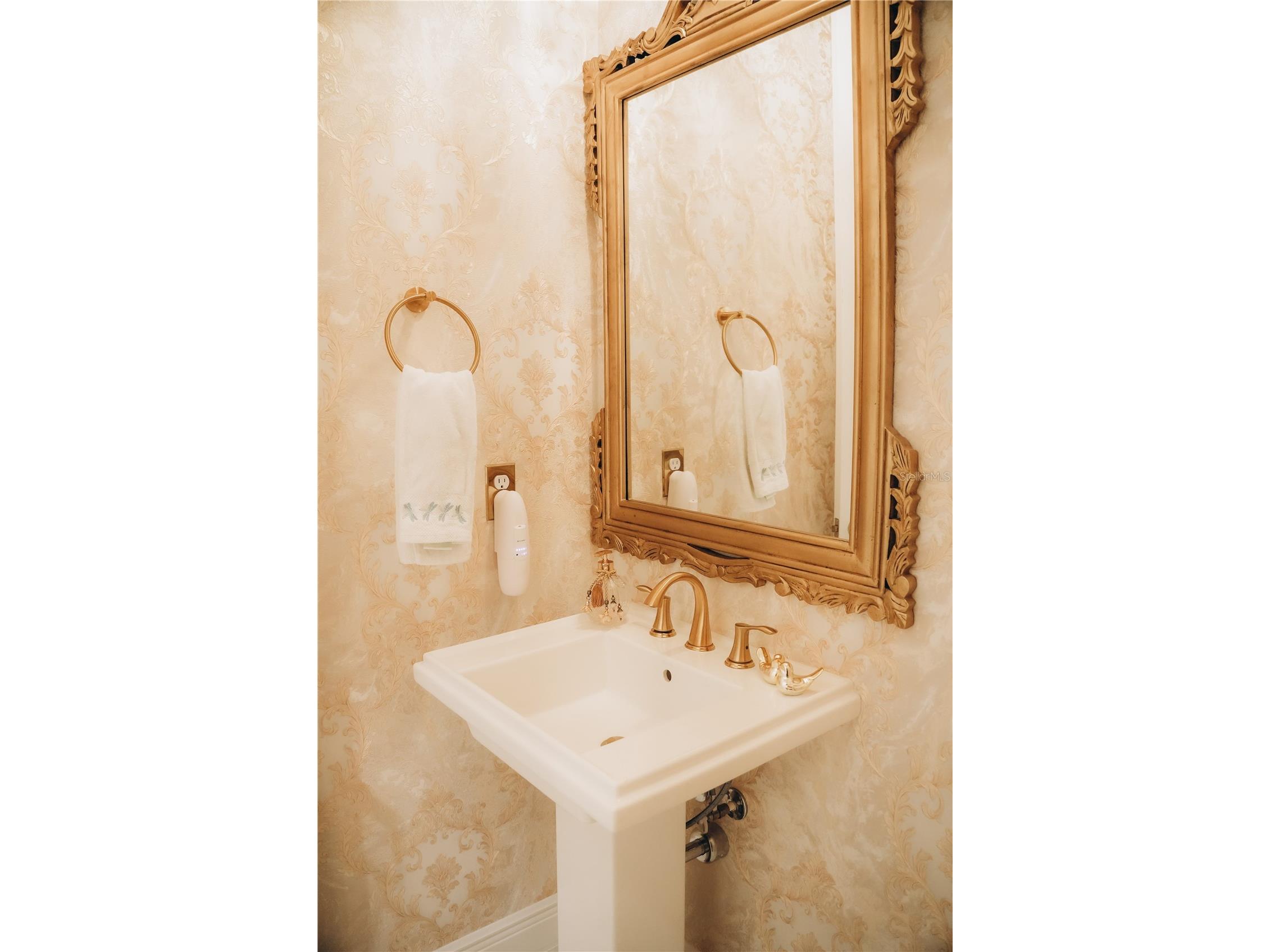 15505 Shorebird Lane Winter Garden FL 34787 O6410839 image77