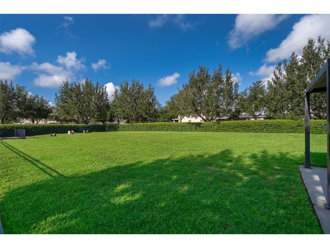 15506 Honey Mandarin Way Winter Garden FL 34787 O6343579 image47