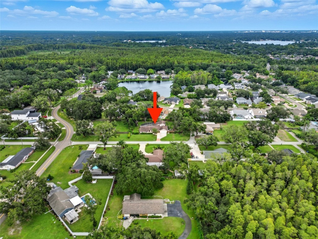 15507 N Himes Avenue Tampa FL 33618 TB8425641 image43