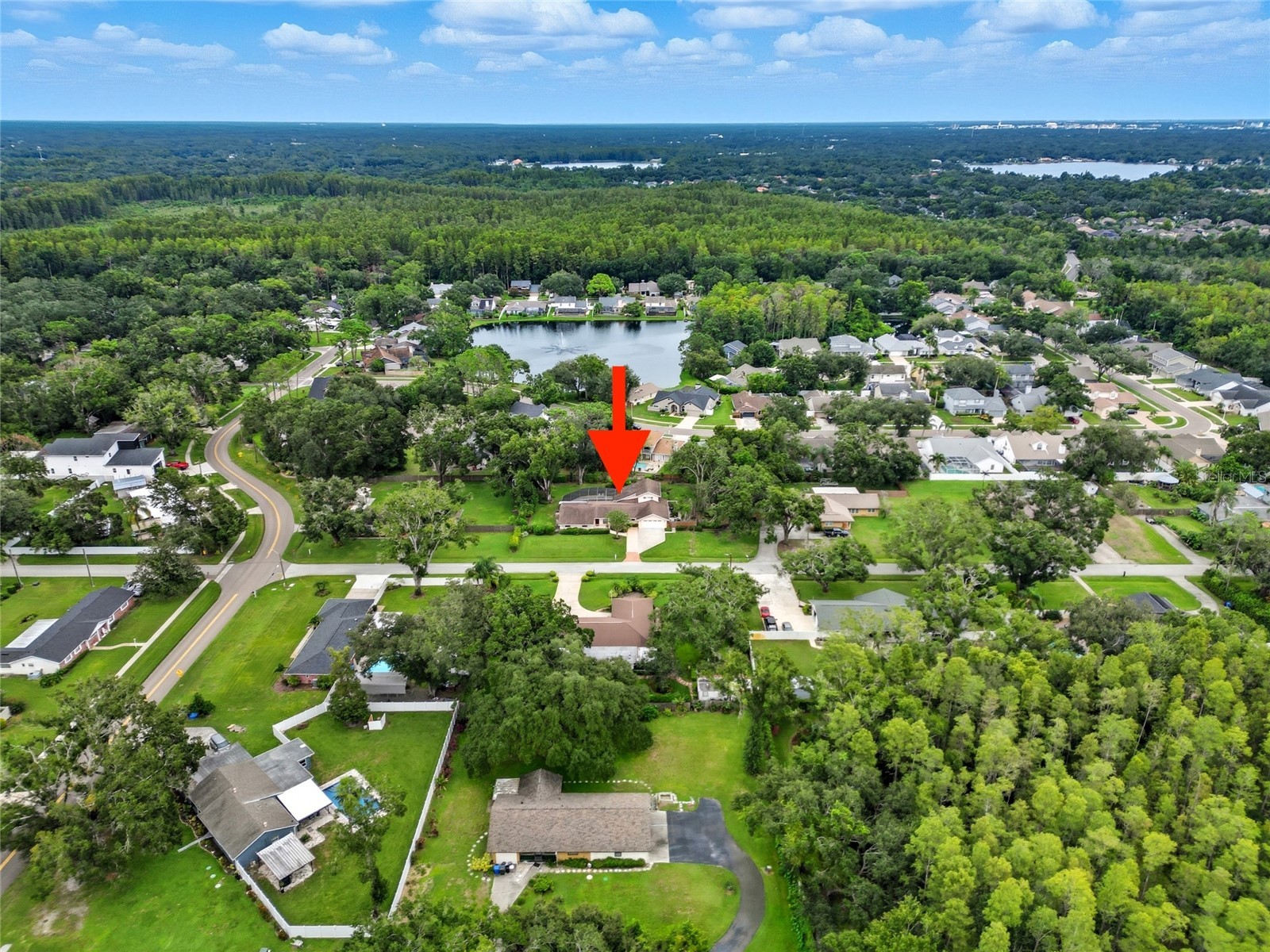 15507 N Himes Avenue Tampa FL 33618 TB8425641 image44