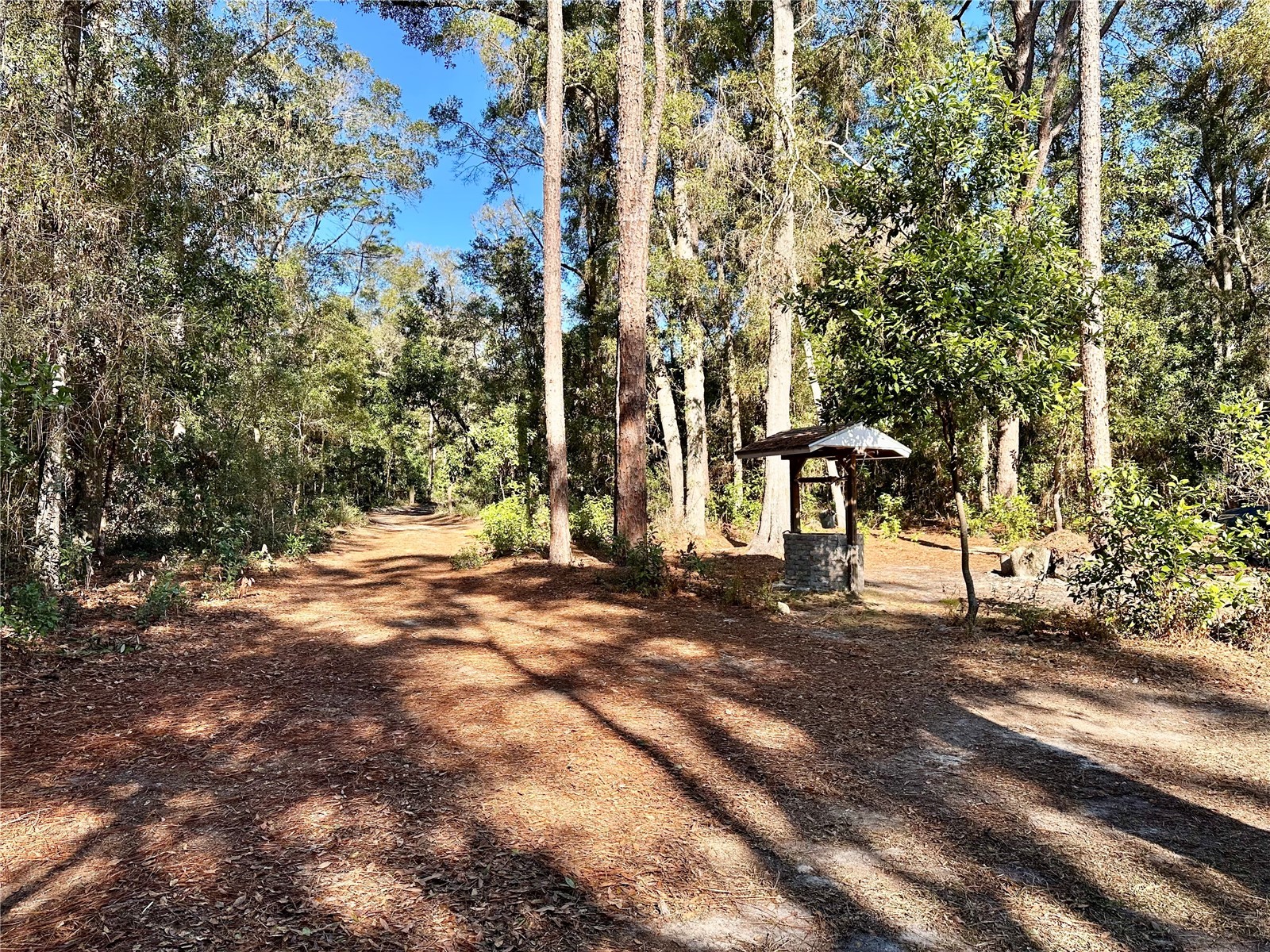 15507 NW 268th Terrace High Springs FL 32643 OM718334 image40