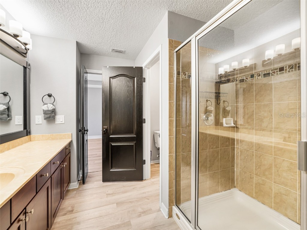 15509 Long Cypress Drive Ruskin FL 33573 TB8411226 image34