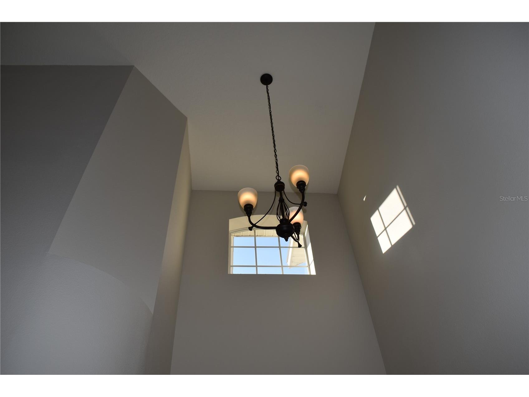 15509 Montilla Loop Tampa FL 33625 TB8422213 image14